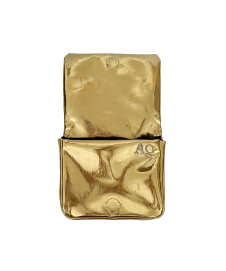 Pouch with tissue case （metal）