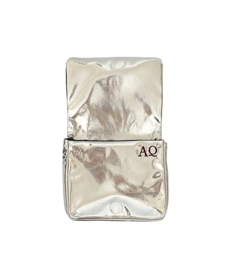 Pouch with tissue case （metal）