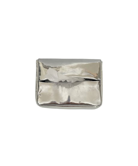 Pouch with tissue case （metal）