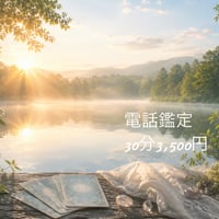 電話鑑定 30分