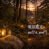 電話鑑定 60分
