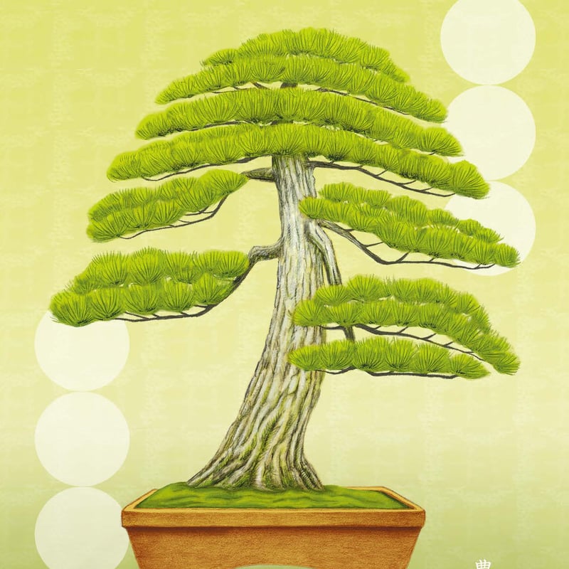 盆栽小宇宙『 豊潤 』／ Bonsai Microcosm 