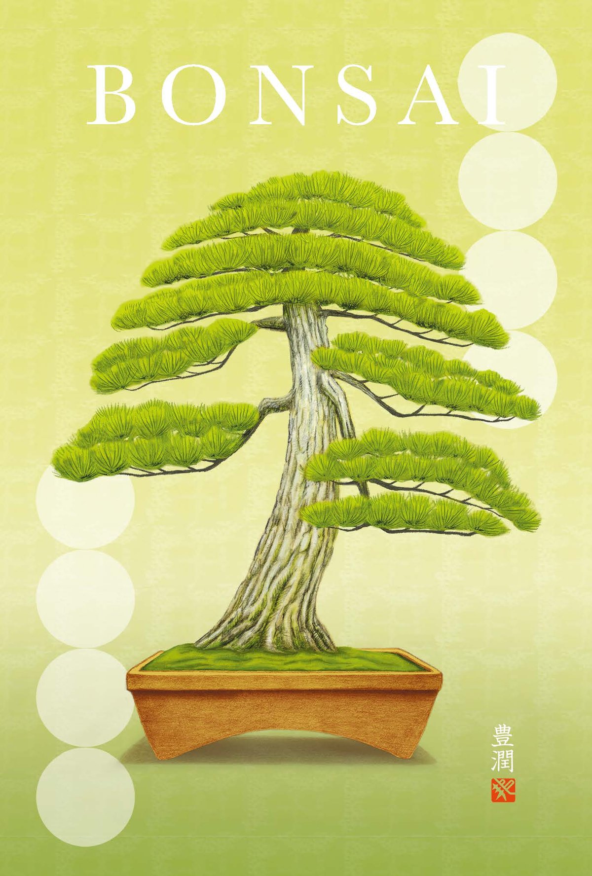 盆栽小宇宙『 豊潤 』／ Bonsai Microcosm 