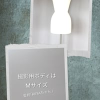 お手入れについて