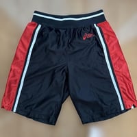 asics レディース バスケットボールパンツ Lサイズ 光沢
