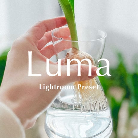 写真フィルター「Luma（ルマ）」｜Lightroom用