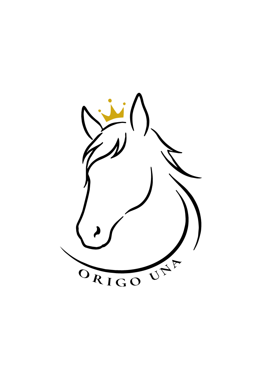 ORIGO UNA