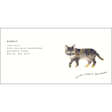 ぼくのサビンカ