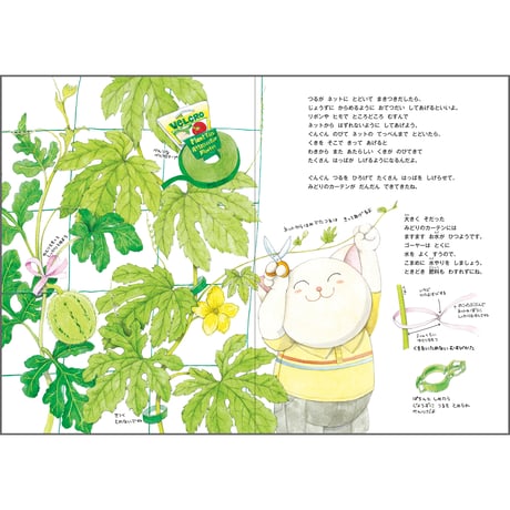ねこさんかぞくの みどりのカーテン