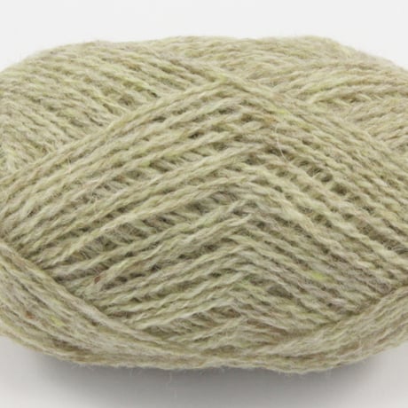 1130 Lichen