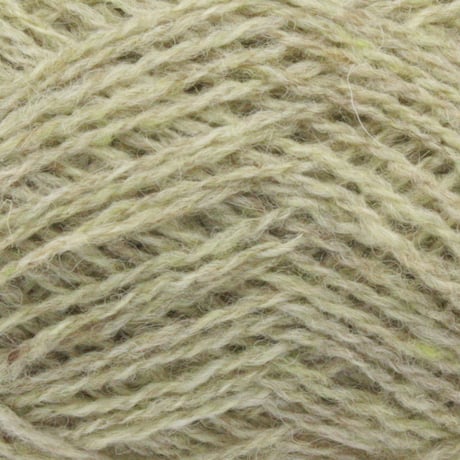 1130 Lichen