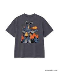 HIROTTON - Zetton - Gray