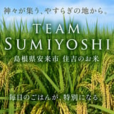 TEAM SUMIYOSHI