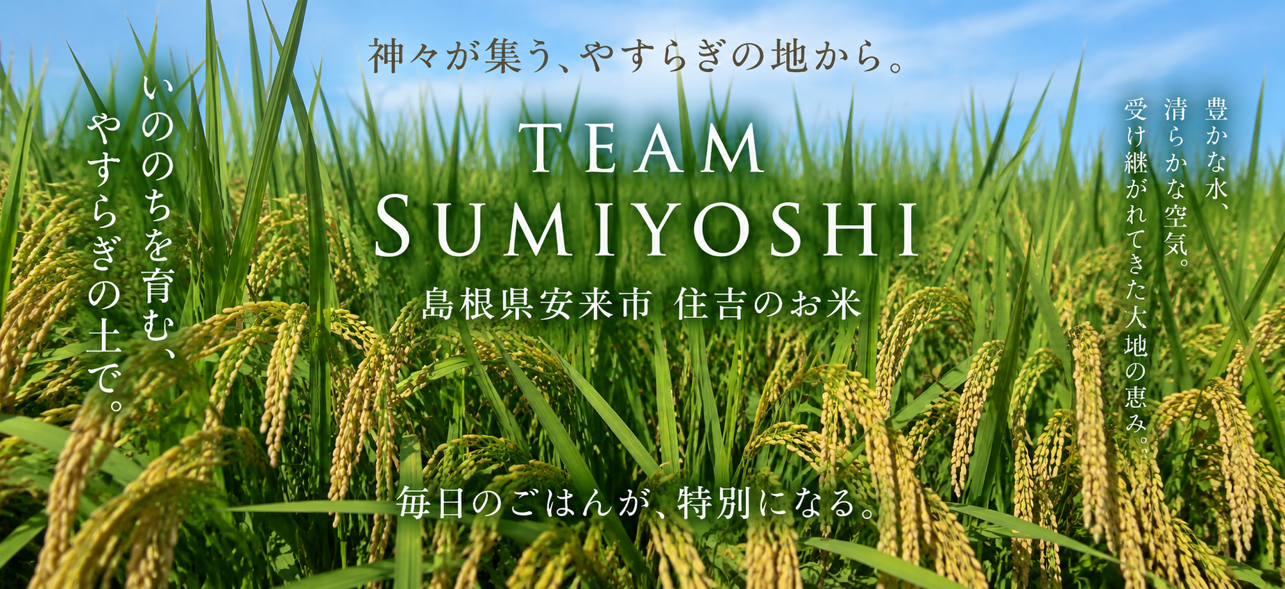 TEAM SUMIYOSHI
