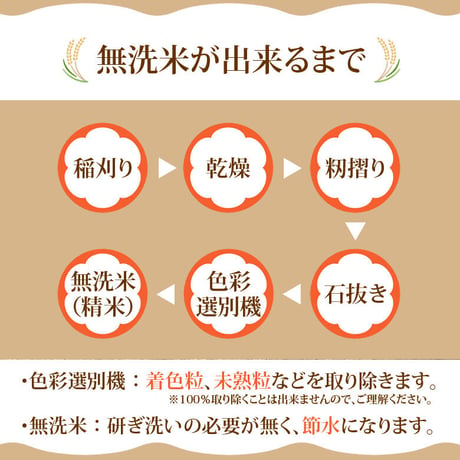 【定期便】新米 無洗米 約26kg お米 コシヒカリ 令和8年産 林米 兵庫県 豊岡市産