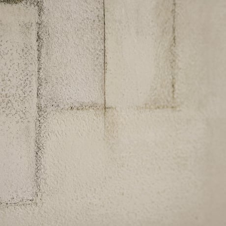 JUNKI NODA / The place where soap forgets its shape / #11