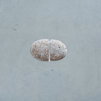 copo e eu / stone+glass / L (c-09)