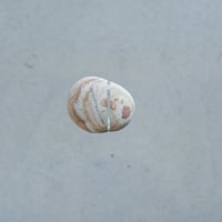copo e eu / stone+glass / L (c-03)