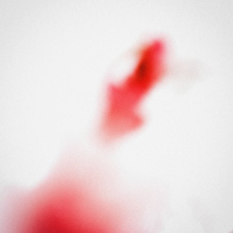 sheep / ROSE GERANIUM