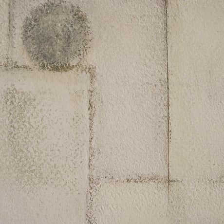 JUNKI NODA / The place where soap forgets its shape / #11