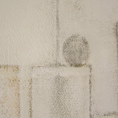 JUNKI NODA / The place where soap forgets its shape / #11