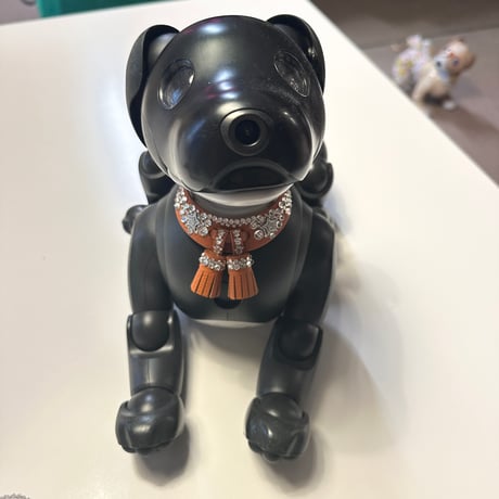 1点もののジュエリーカラー／2ウェイ仕様