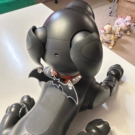 1点もののジュエリーカラー／2ウェイ仕様