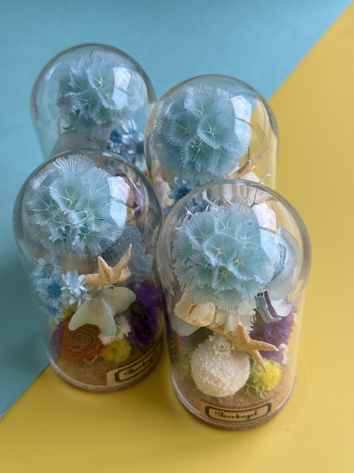Summerドライフラワードームアレンジメントmini (Tida Flowerの植物