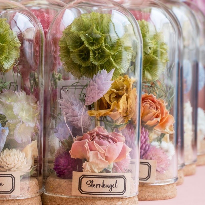 ドライフラワードームアレンジメントmini (Tida Flowerの植物標本ミニ