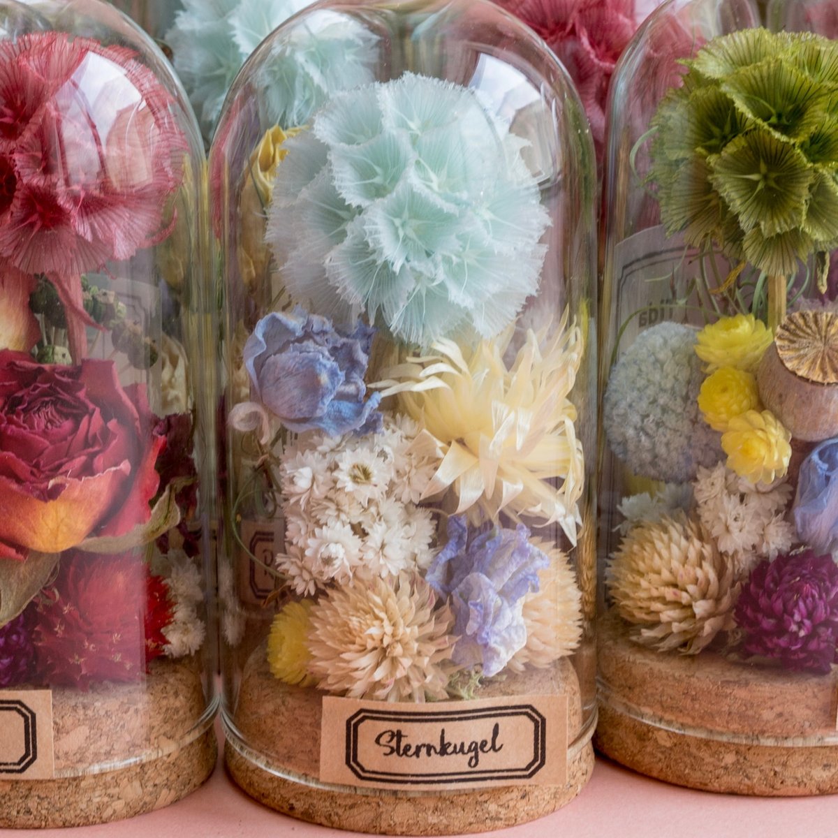 ドライフラワードームアレンジメントmini (Tida Flowerの植物標本ミニ