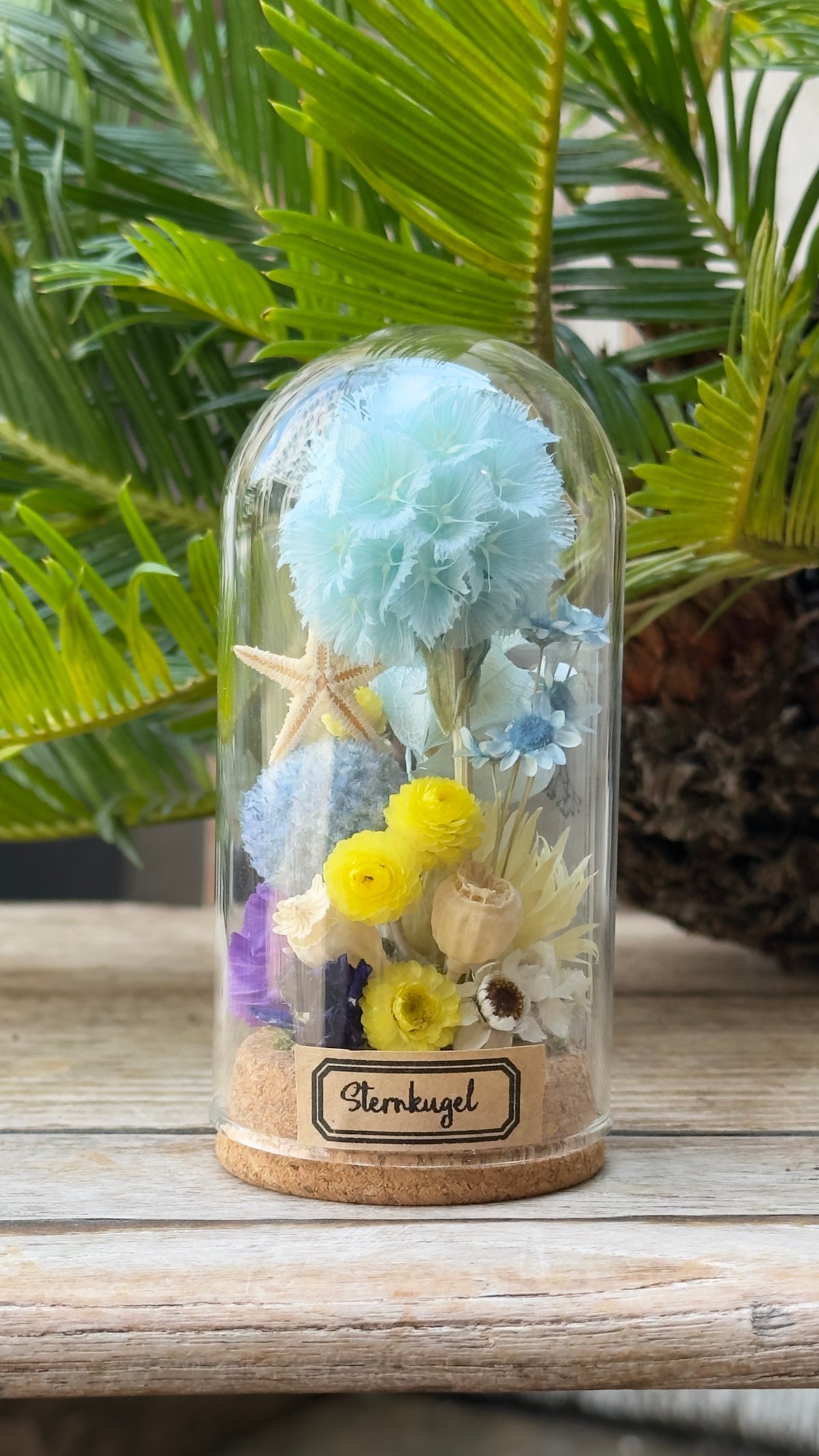 Summerドライフラワードームアレンジメントmini (Tida Flowerの植物