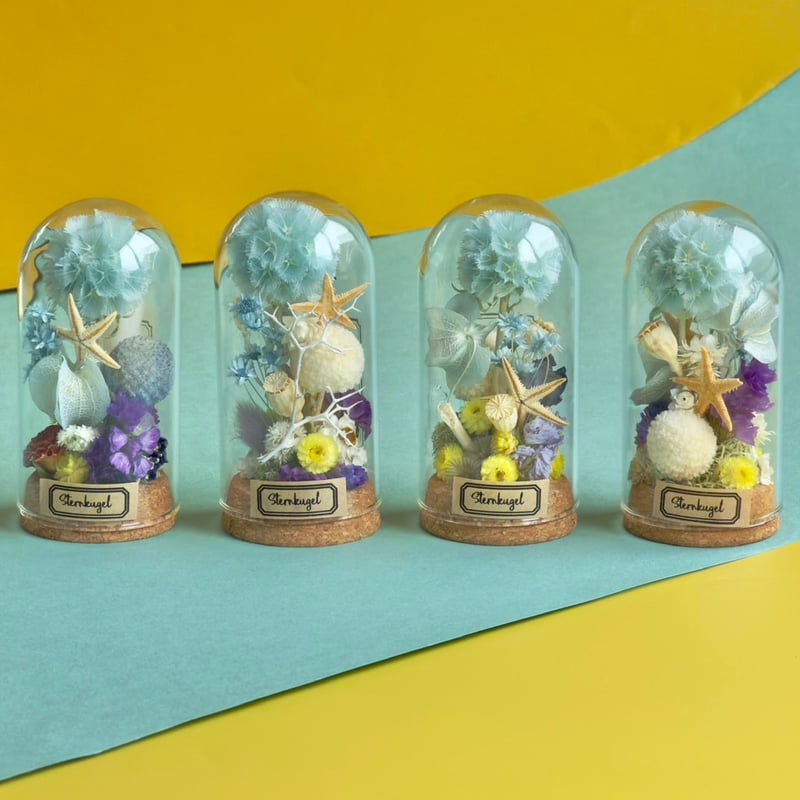 Summerドライフラワードームアレンジメントmini (Tida Flowerの植物