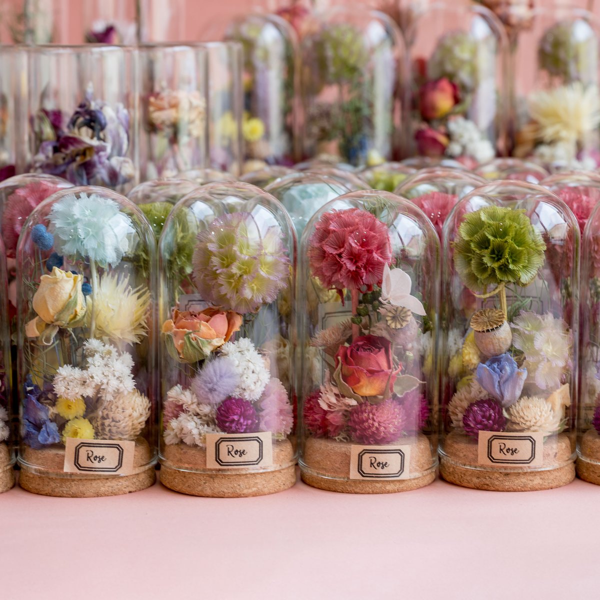 ドライフラワードームアレンジメントmini (Tida Flowerの植物標本ミニ