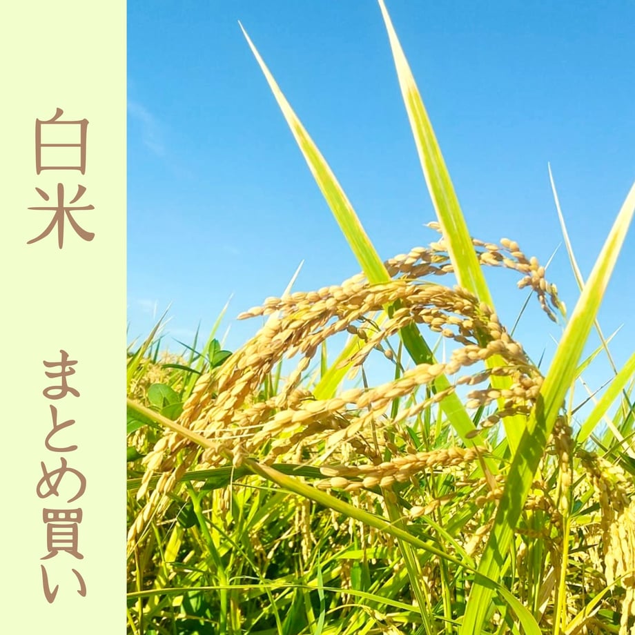 632c52e20f9a22474aa6b0e4