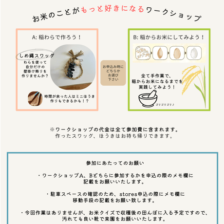 イネ活田んぼの収穫祭