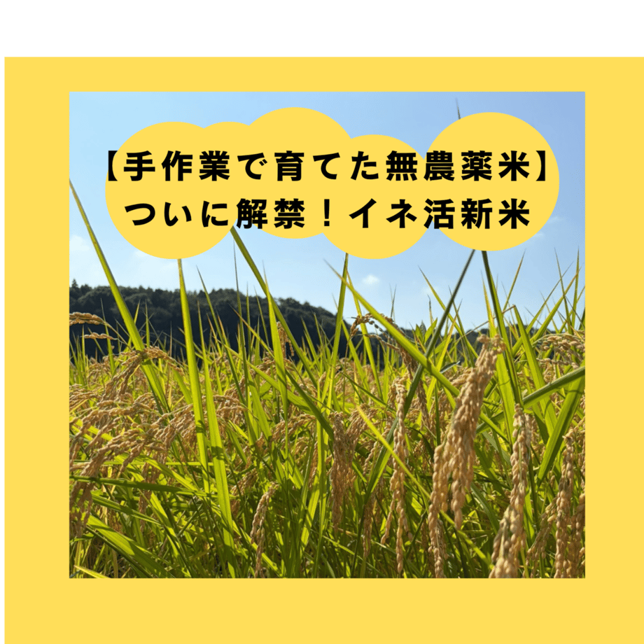 6a8d42268d1e7d3f2536252f