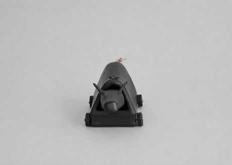 黒牛（小）