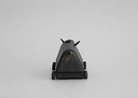 黒牛（小）