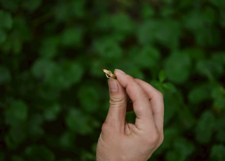 Zebra Jasper Brass Ring