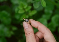 Zebra Jasper Brass Ring