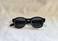 RogerE30 / Silver / black pola lenses (Asian fit)