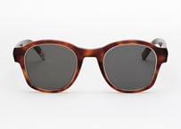Roger E81 / Silver/ G15 lenses (Asian fit)