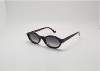 Kendall E32+Clarté   Verres Degrade Marron -New color-(Asian Fit)