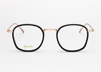 AYRTON E2 / Black - Mat Gold  （Optical /インナーリム Asian Fit）
