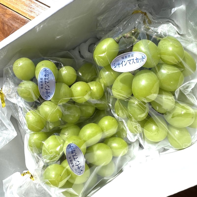 初登場】 ご自宅用 SHINE MUSCAT（約1K）×3箱 | 菱沼農園