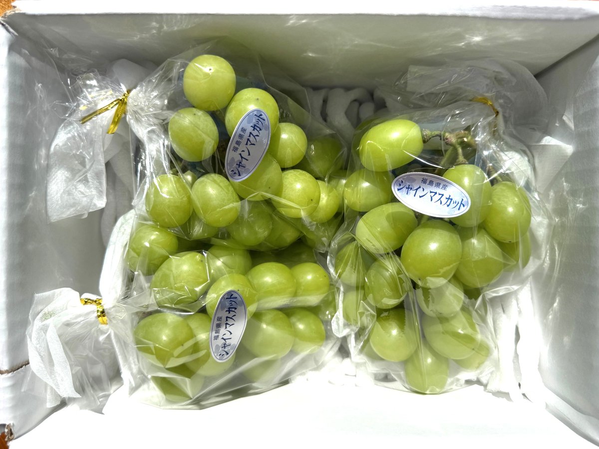 初登場】 ご自宅用 SHINE MUSCAT（約1K）×3箱 | 菱沼農園
