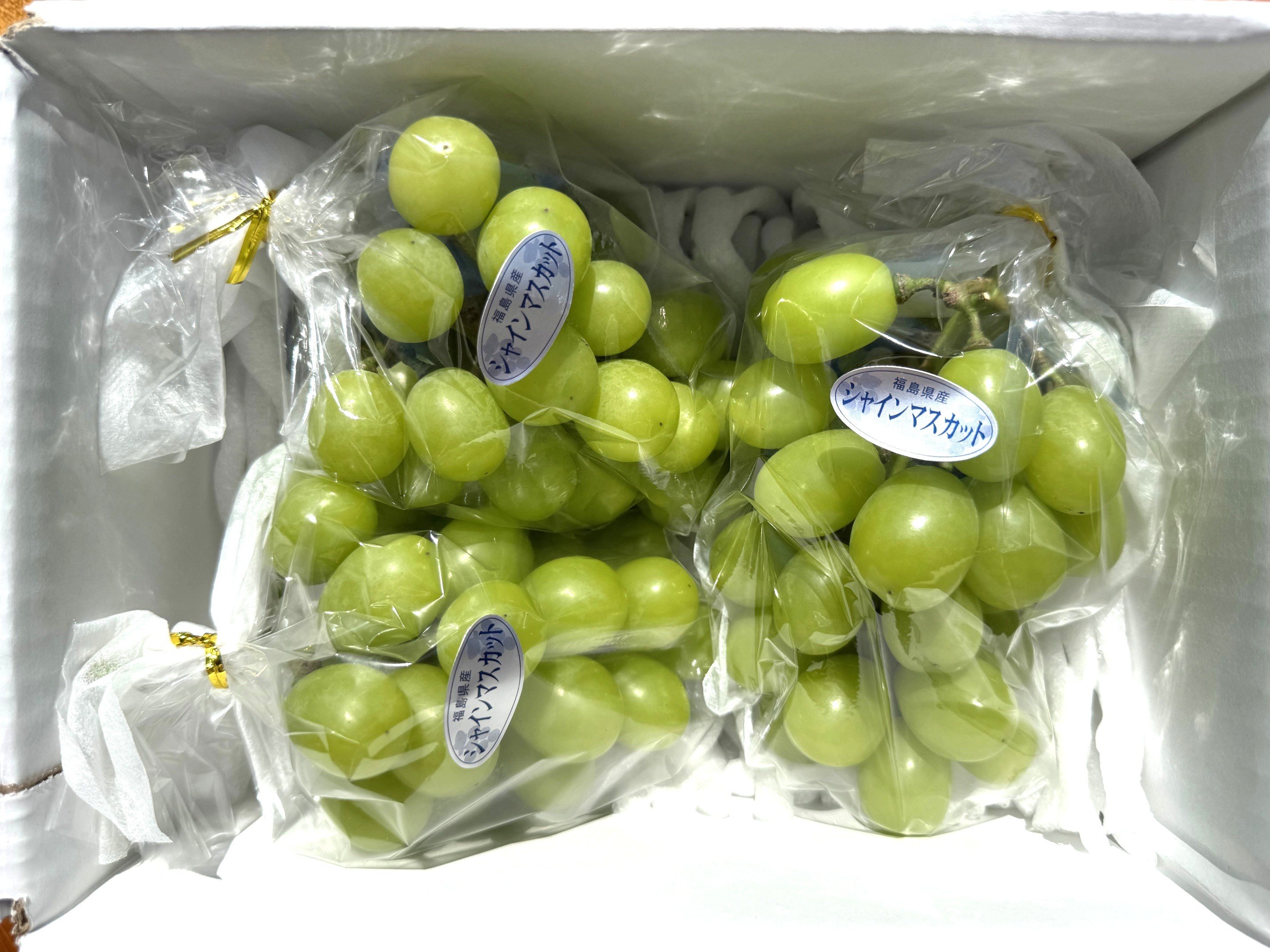 初登場】 ご自宅用 SHINE MUSCAT（約1K）×3箱 | 菱沼農園