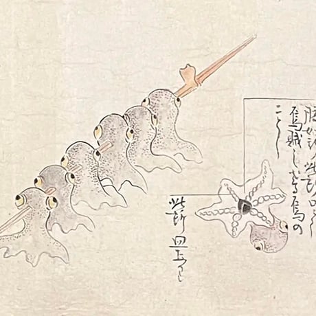 漆黒のタコ妖怪　#15