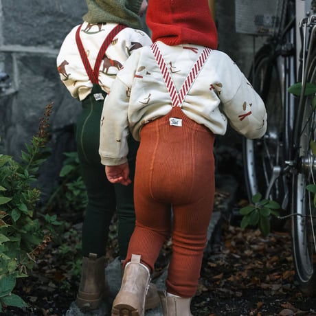 SILLY Silas_Cinnamon Christmas Patterned
