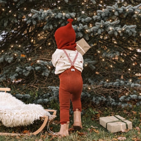 SILLY Silas_Cinnamon Christmas Patterned